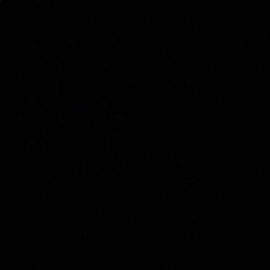 Meet your Posher, Venus